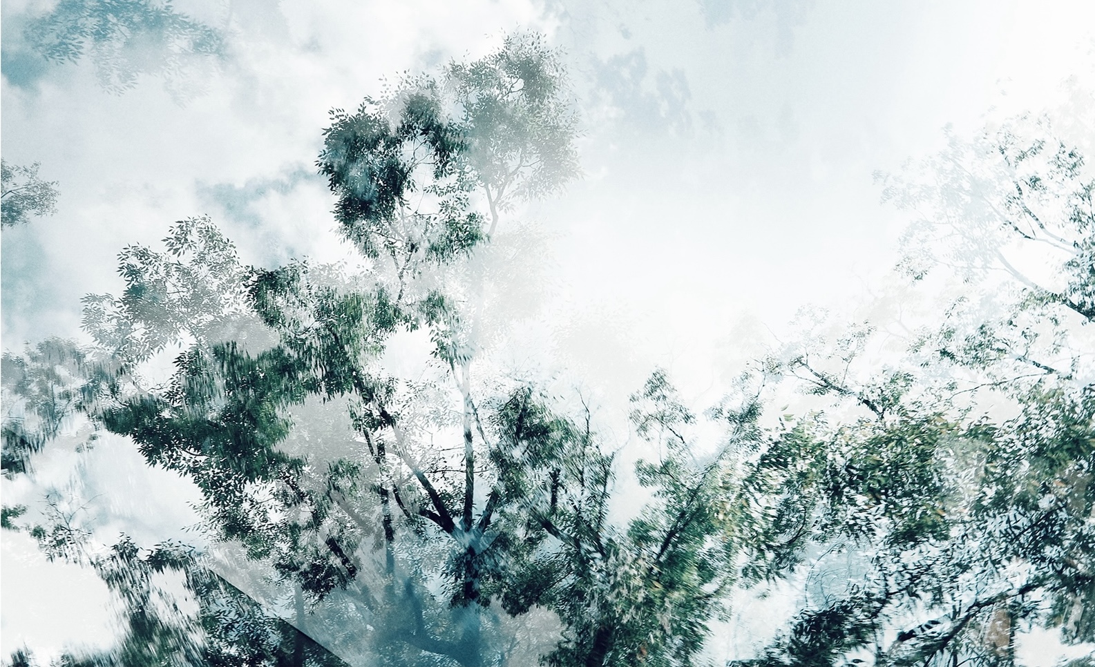 Shooting Method of HDR ICM photography / HDR ICM photography の撮影方法。